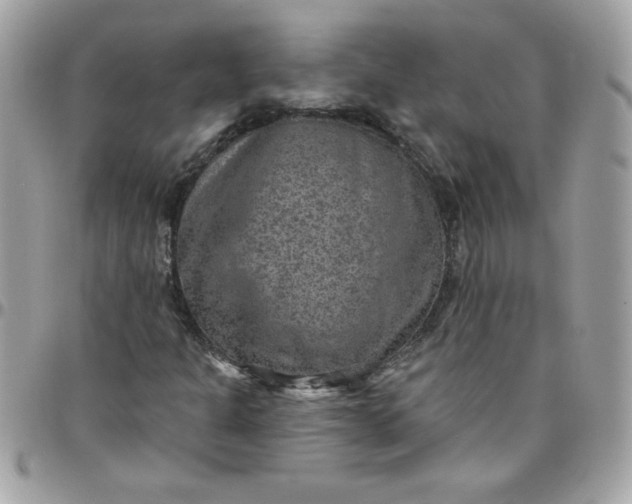X0000097771301200803211727
