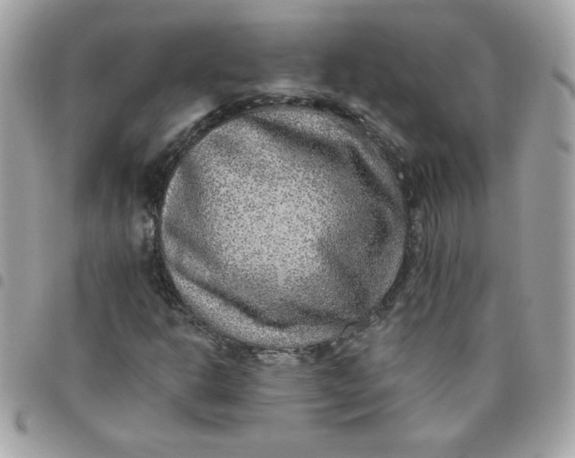 X0000097771302200803211727