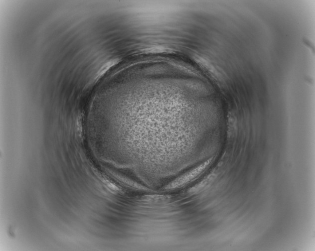 X0000097771305200803211727