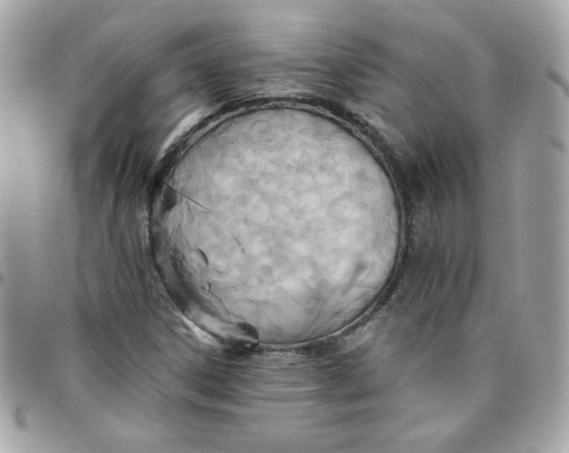 X0000097771306200803211727