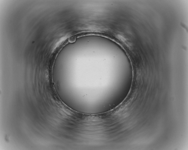 X0000097771307200803211727