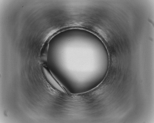 X0000097771308200803211727