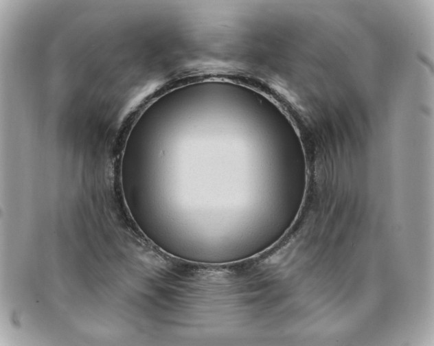 X0000097771309200803211727