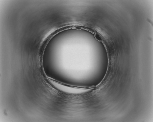 X0000097771310200803211727