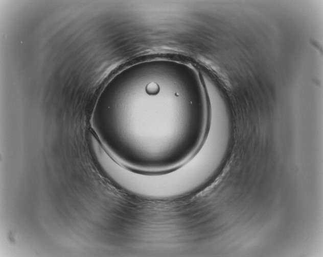 X0000097771313200803211727