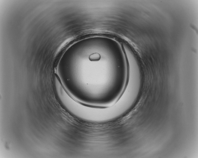 X0000097771314200803211727