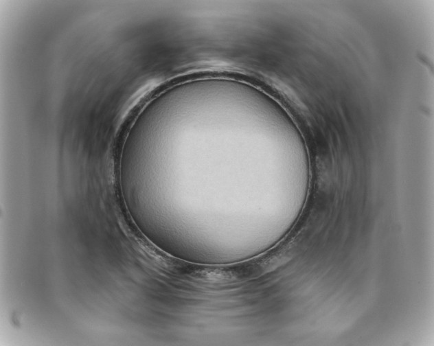 X0000097771318200803211727