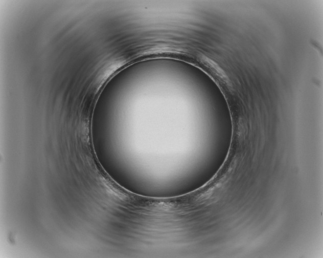 X0000097771321200803211727
