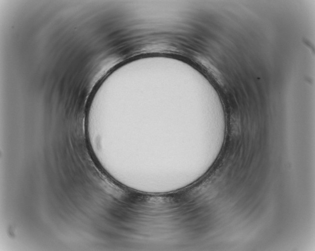 X0000097771322200803211727