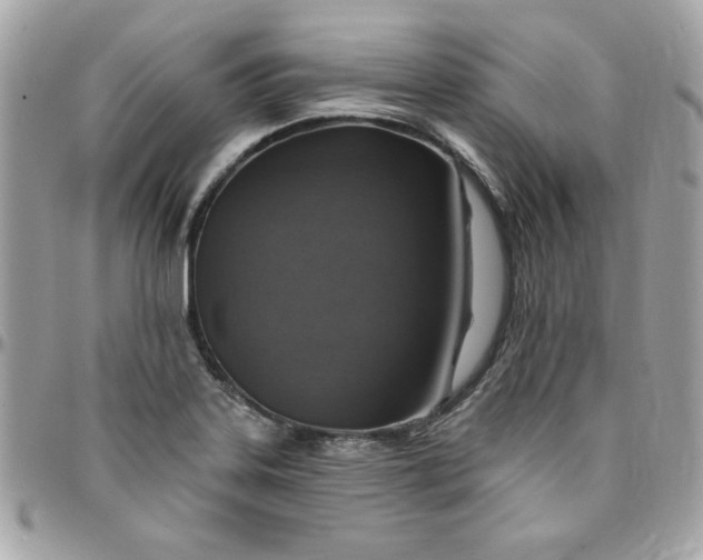 X0000097771323200803211727