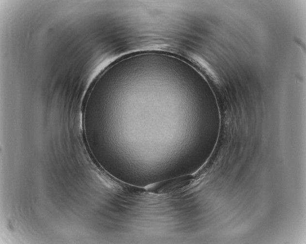 X0000097771324200803211727