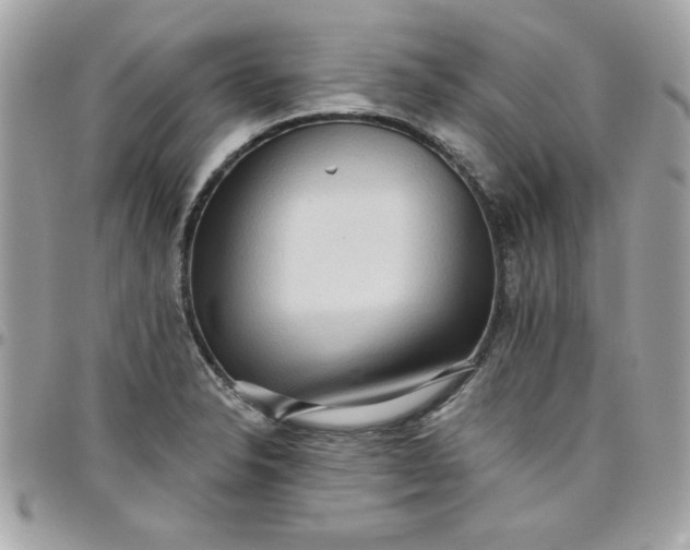 X0000097771326200803211727