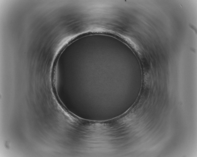 X0000097771327200803211727