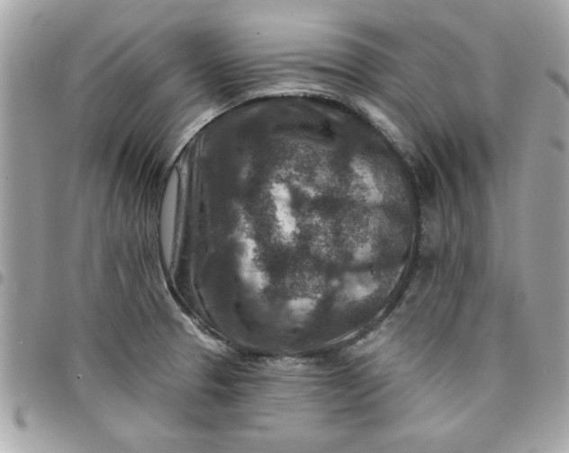 X0000097771329200803211727
