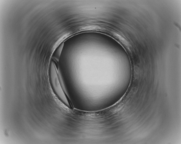 X0000097771330200803211727