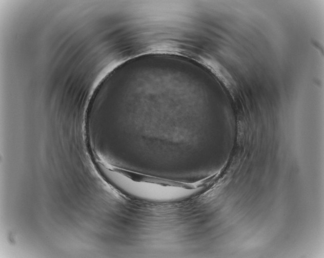 X0000097771331200803211727