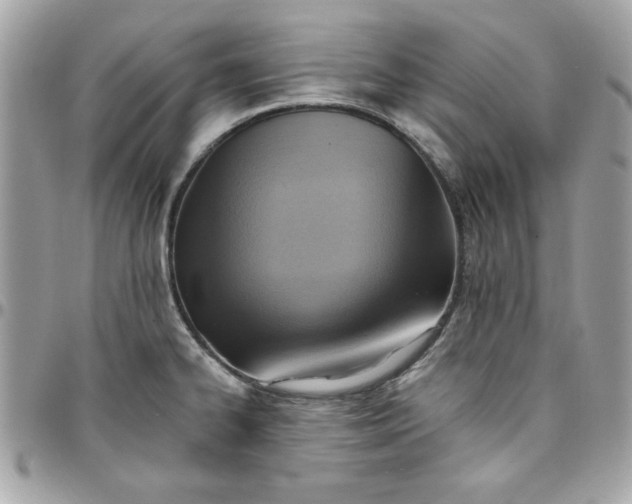X0000097771334200803211727