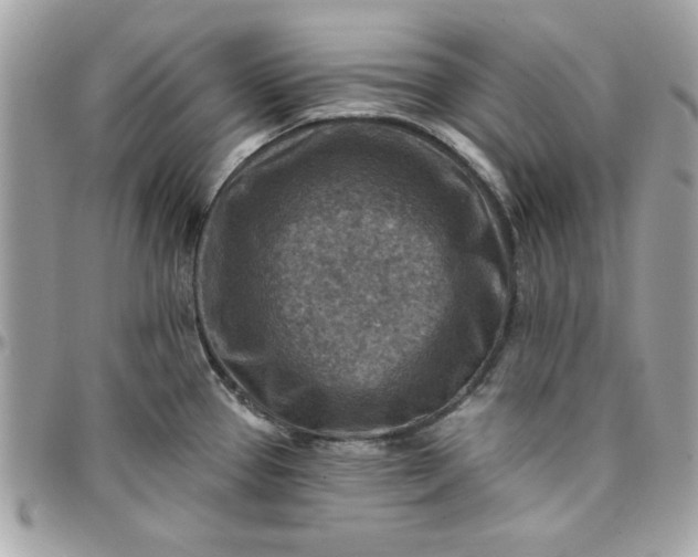 X0000097771337200803211728