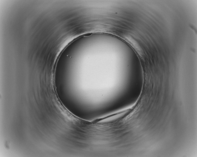 X0000097771340200803211728