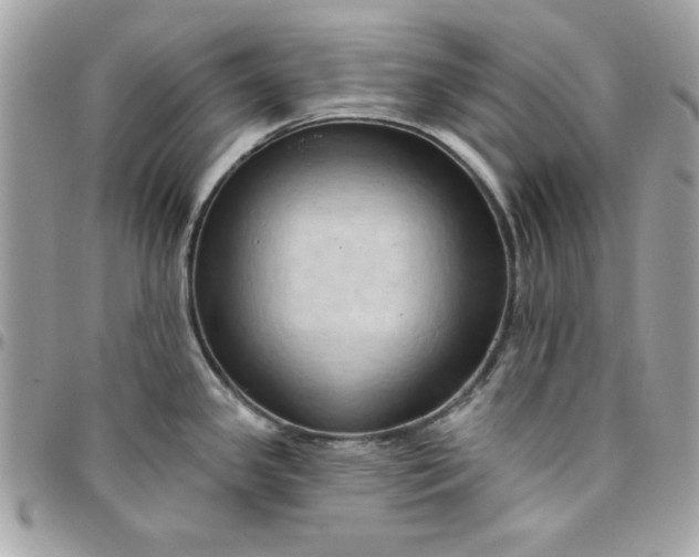 X0000097771341200803211728