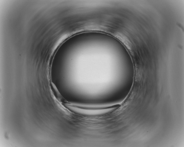 X0000097771342200803211728