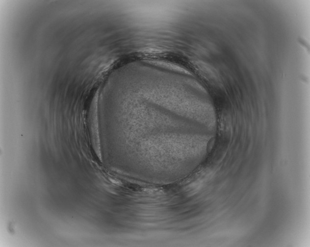 X0000097771346200803211727