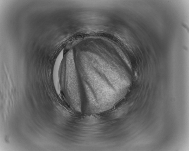 X0000097771348200803211727