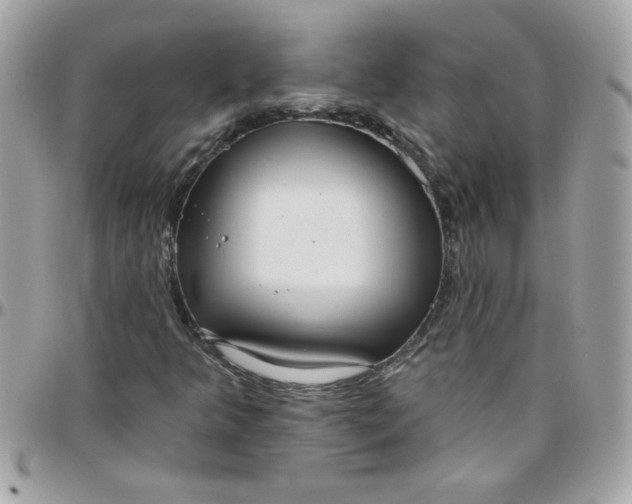 X0000097771349200803211727