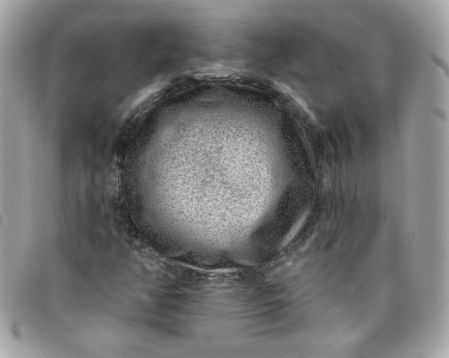 X0000097771350200803211727