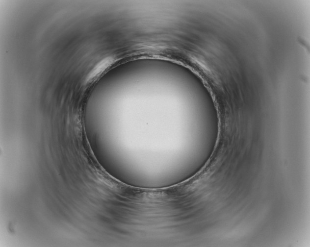 X0000097771354200803211727