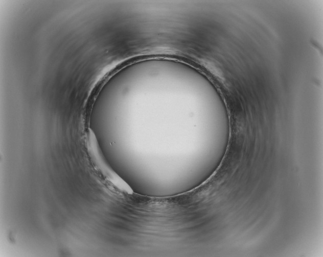 X0000097771364200803211727