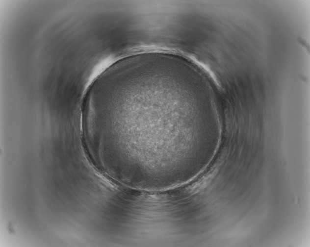 X0000097771365200803211727