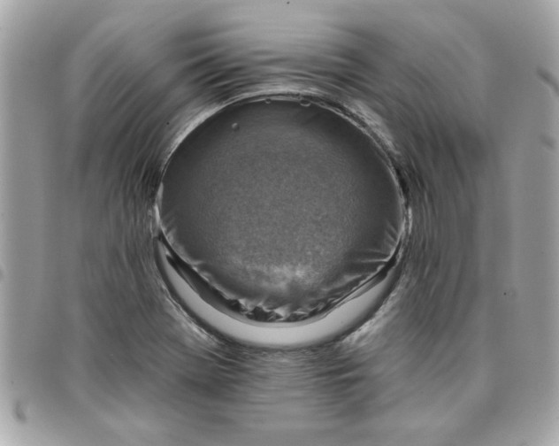 X0000097771369200803211726