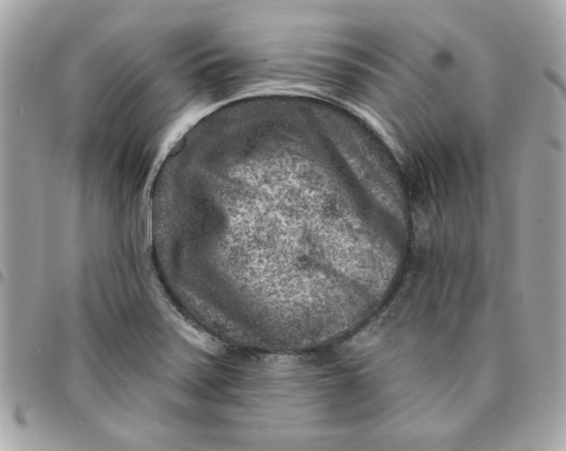X0000097771371200803211726