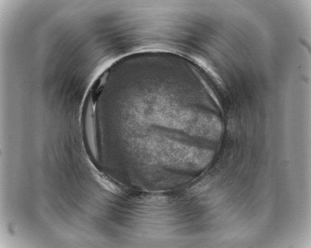X0000097771372200803211726