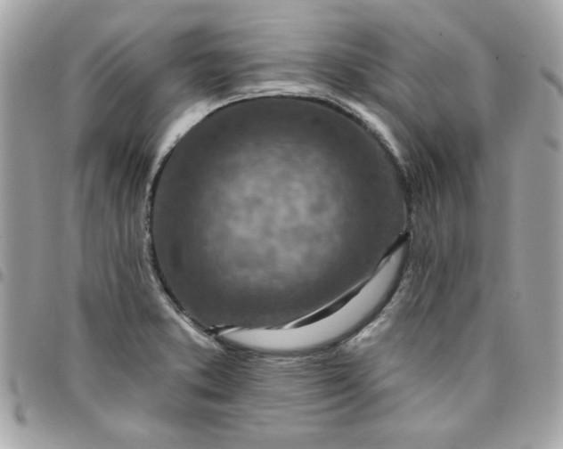X0000097771373200803211726