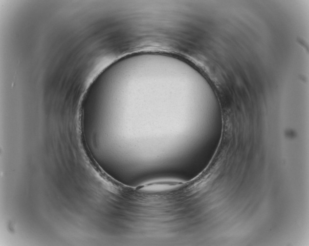 X0000097771375200803211726