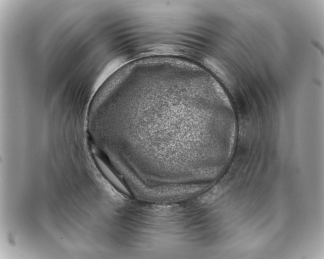 X0000097771378200803211726