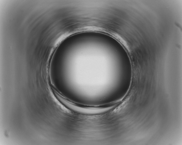 X0000097771381200803211726