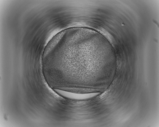 X0000097771382200803211726