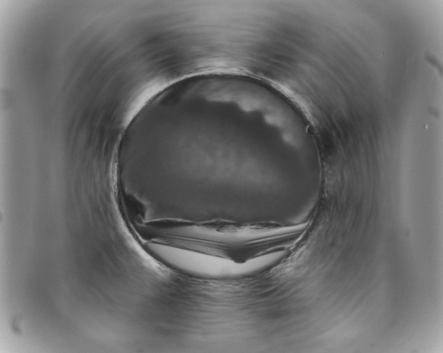 X0000097771383200803211726