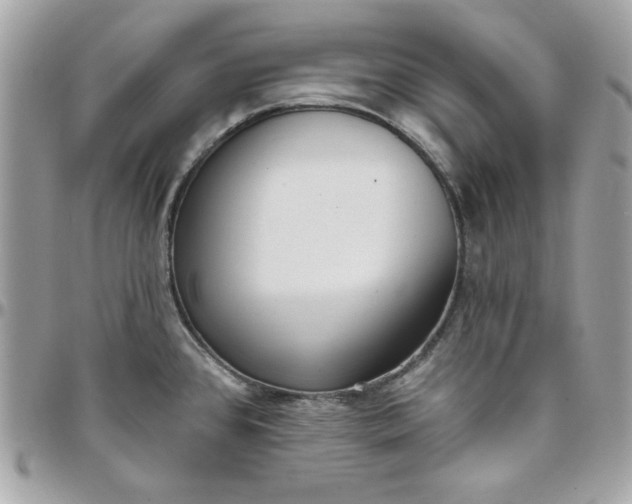 X0000097771384200803211726