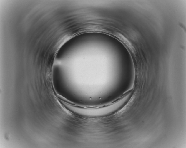 X0000097771385200803211726