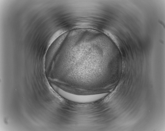 X0000097771386200803211726