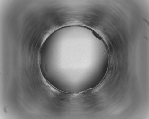 X0000097771390200803211726
