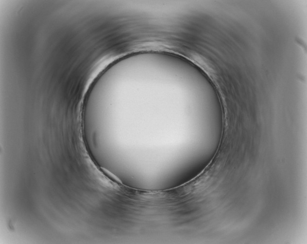 X0000097771392200803211726