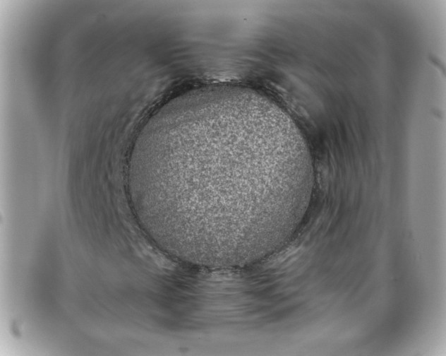 X0000097771393200803211725