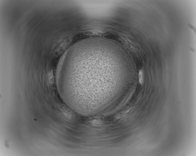 X0000097771395200803211726