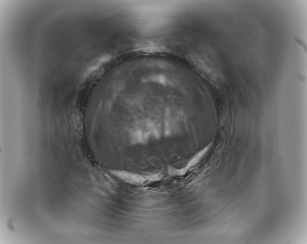 X0000097771398200803211726