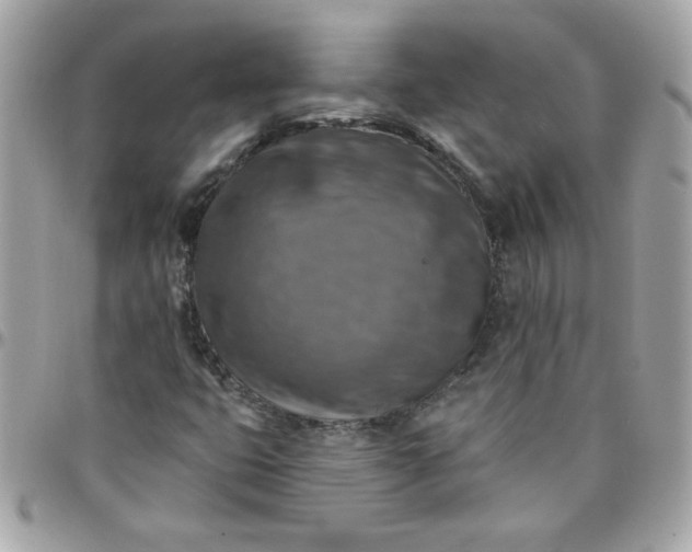 X0000097771399200803211726